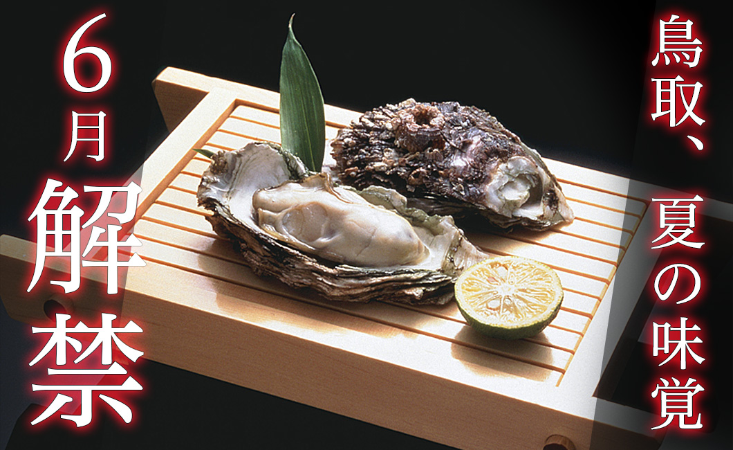 鳥取夏の味覚　岩がき